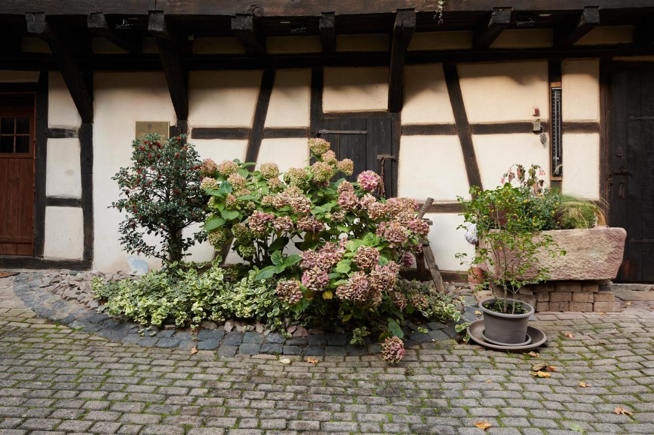 La Cour De Lise Maison D'Hotes Et Spa Willgottheim Экстерьер фото