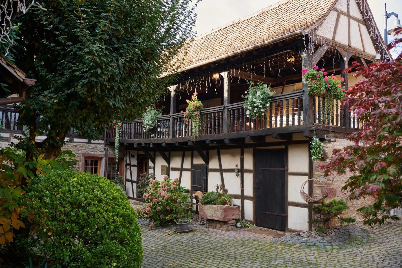 La Cour De Lise Maison D'Hotes Et Spa Willgottheim Экстерьер фото